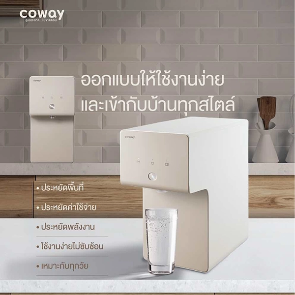 Coway Cinnamon